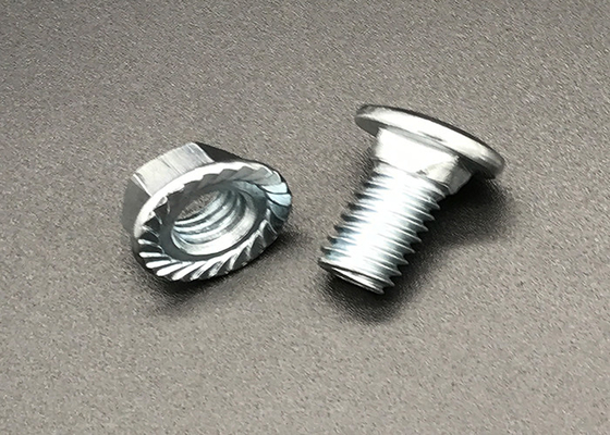 El reborde de acero inoxidable M8 de la tuerca de la caña SS316 cubre con cinc plateado
